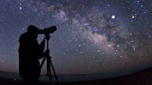 Celestial Safari: Stargazing in the Wilderness