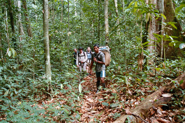 Amazon Adventure: Navigating the World’s Largest Rainforest in Brazil