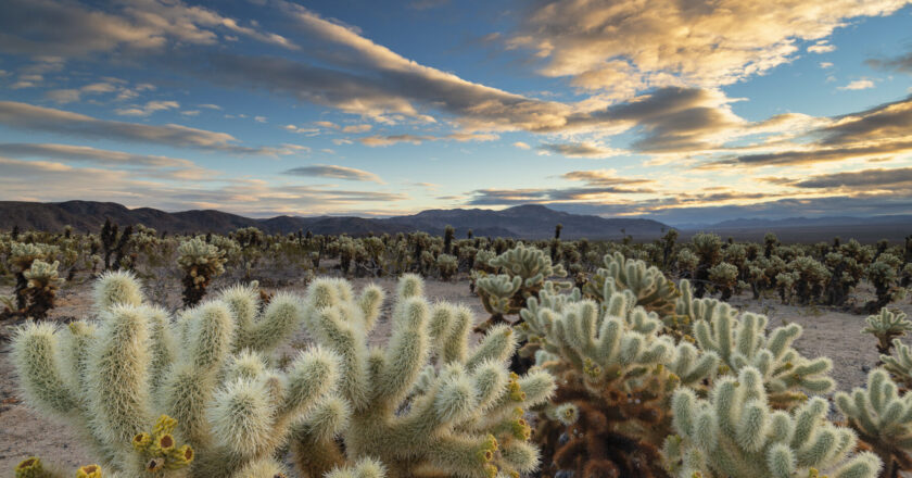 Your Ultimate Guide to the Best U.S. States for a Summer Escape