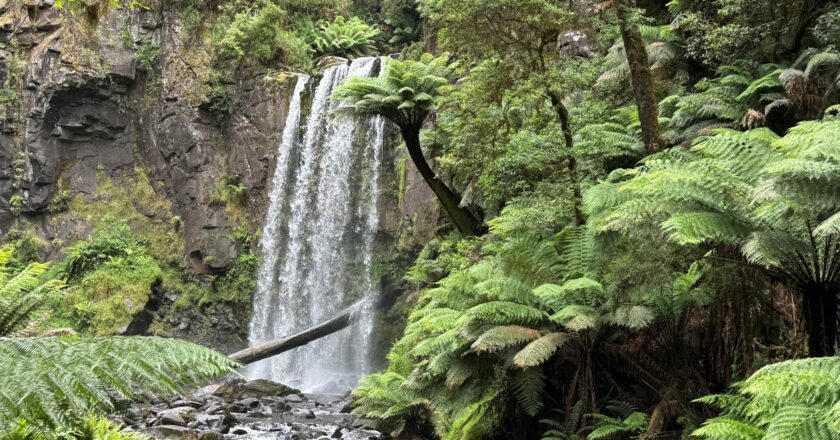Traveling Alone in Nature: The Healing Power of Solitude