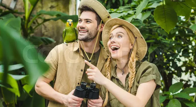 Safari for Two: The Most Romantic Wildlife Destinations for Couples
